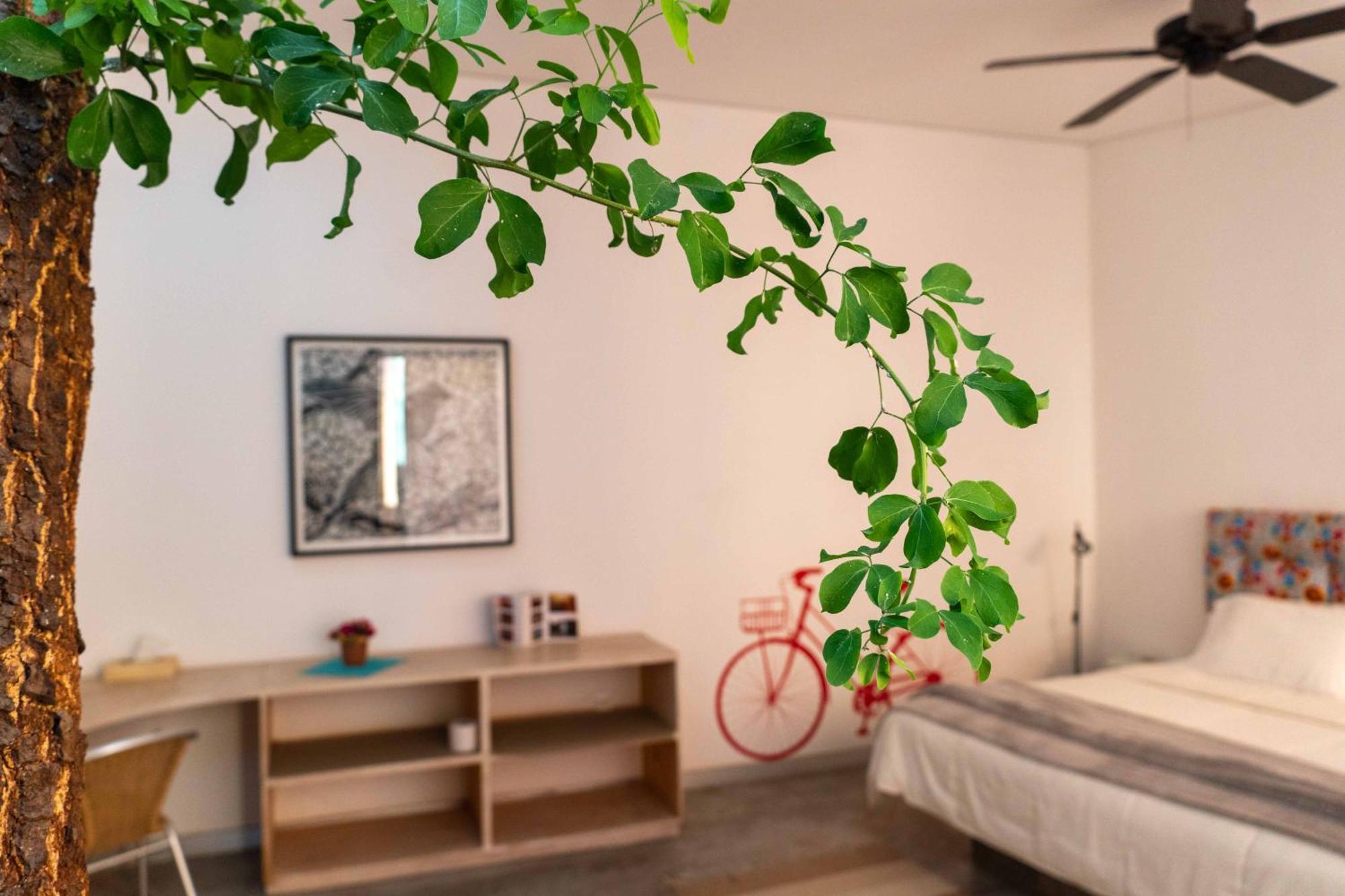 Hotel Cosijo - San Jeronimo Tlacochahuaya Ngoại thất bức ảnh