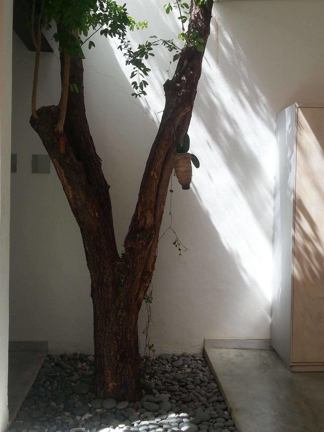 Hotel Cosijo - San Jeronimo Tlacochahuaya Ngoại thất bức ảnh
